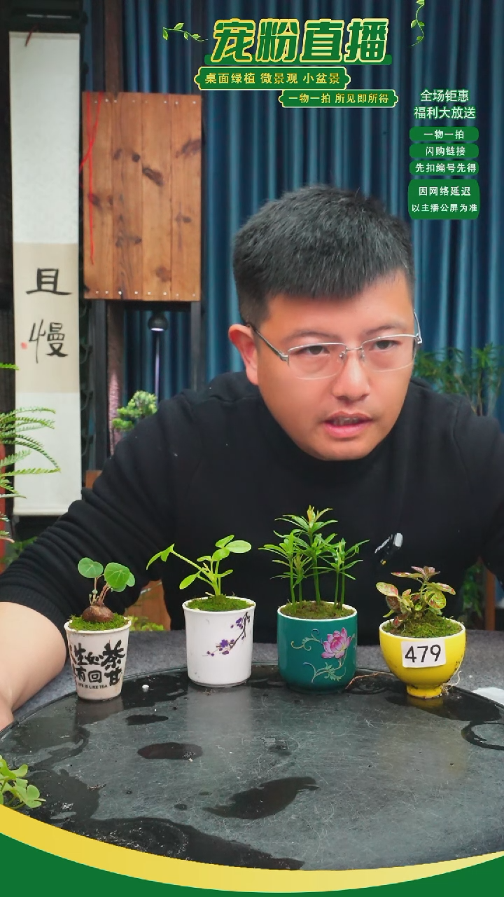 无花朵浪****o苔藓微景观479号