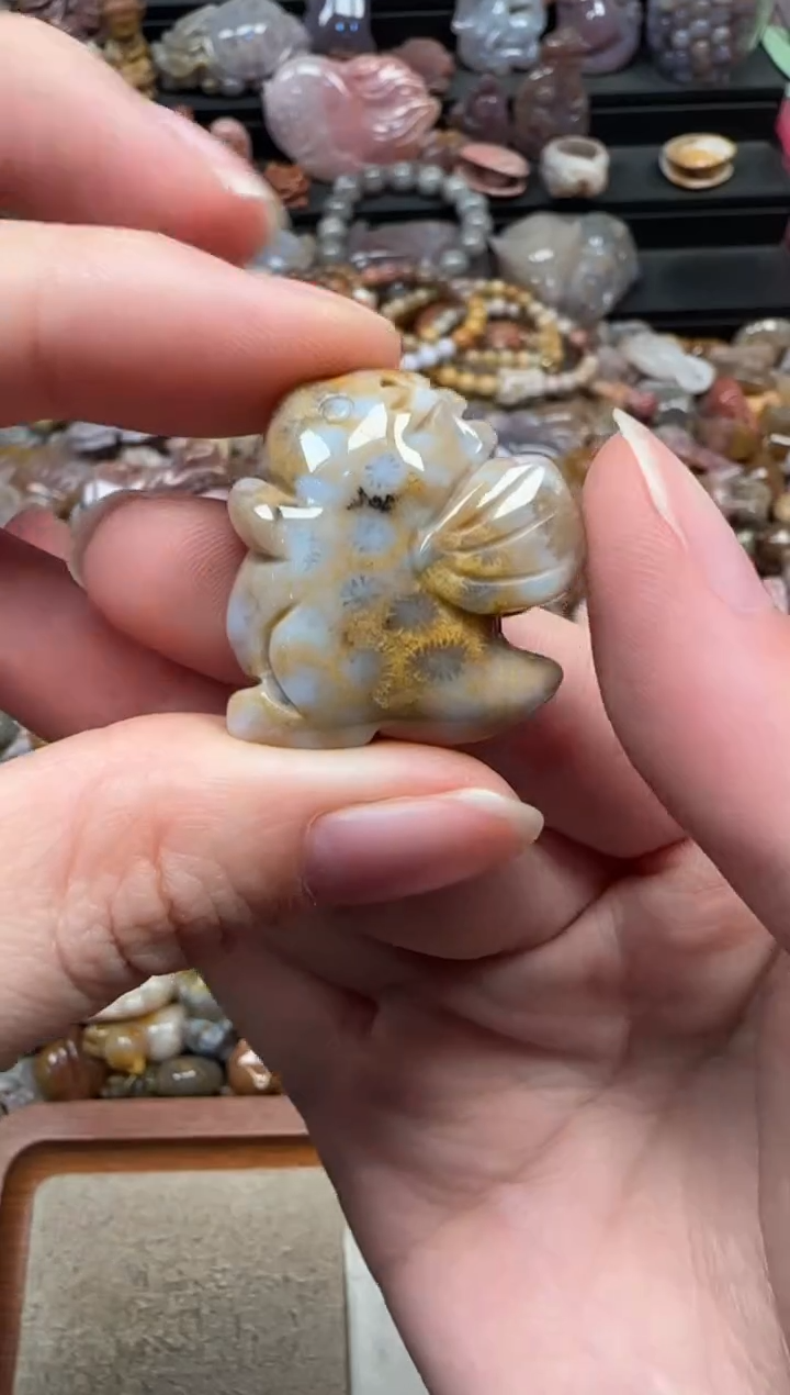 颈饰未镶嵌硅化珊瑚（珊瑚玉）570