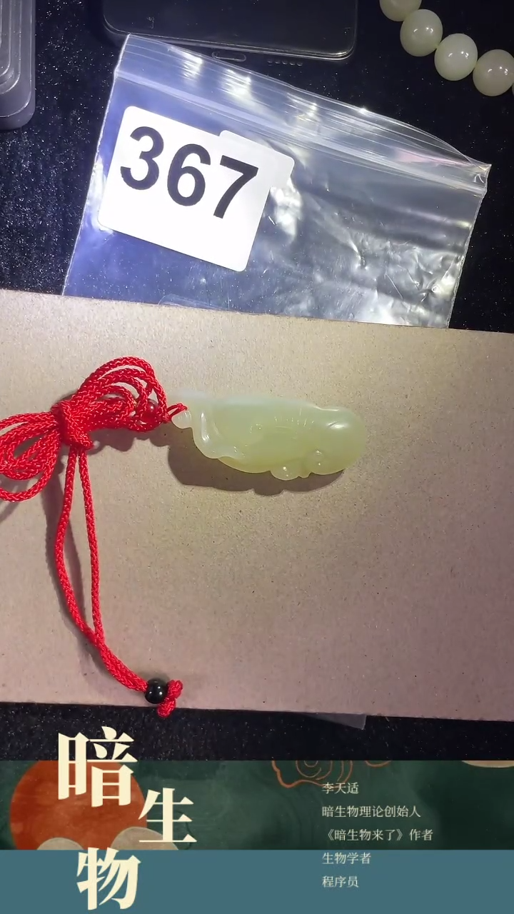 【闪购商品】和田玉吊坠(赠链)未镶嵌367