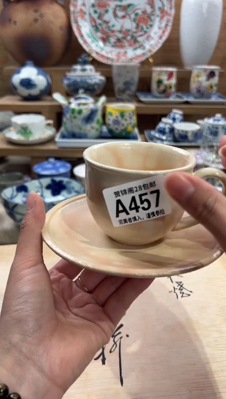 瓷片T***u       A457