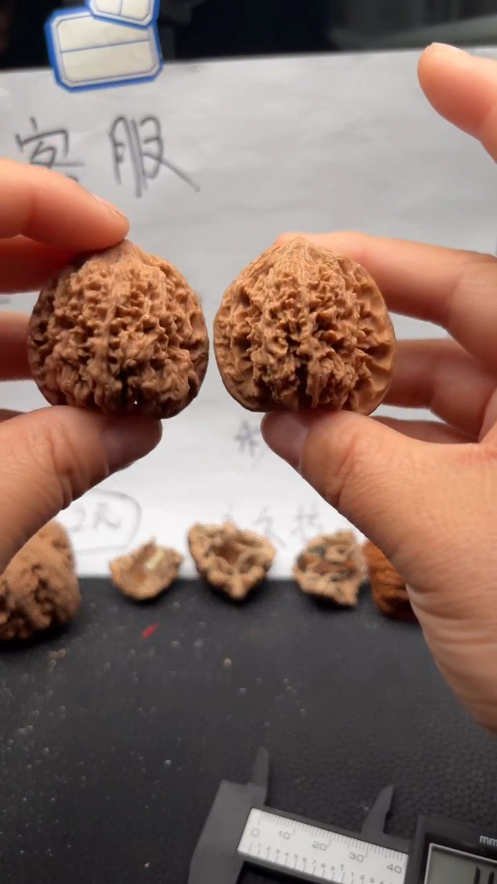 把件文玩核桃342满天星