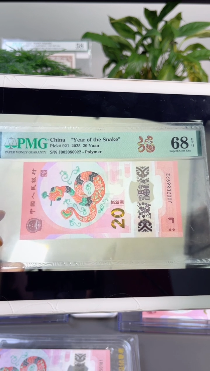塑料蛇钞龙珠 68分 J002086922