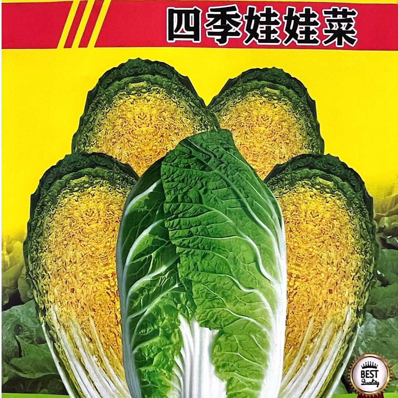 娃娃菜种子 味道好 生长快 菜型紧凑 春秋可种