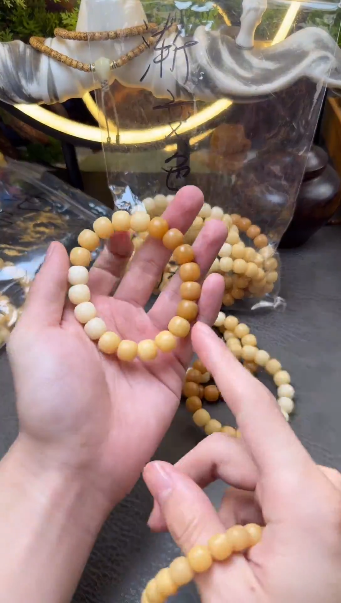 手串菩提根/象牙果干磨高钙奶渐变老型10*11