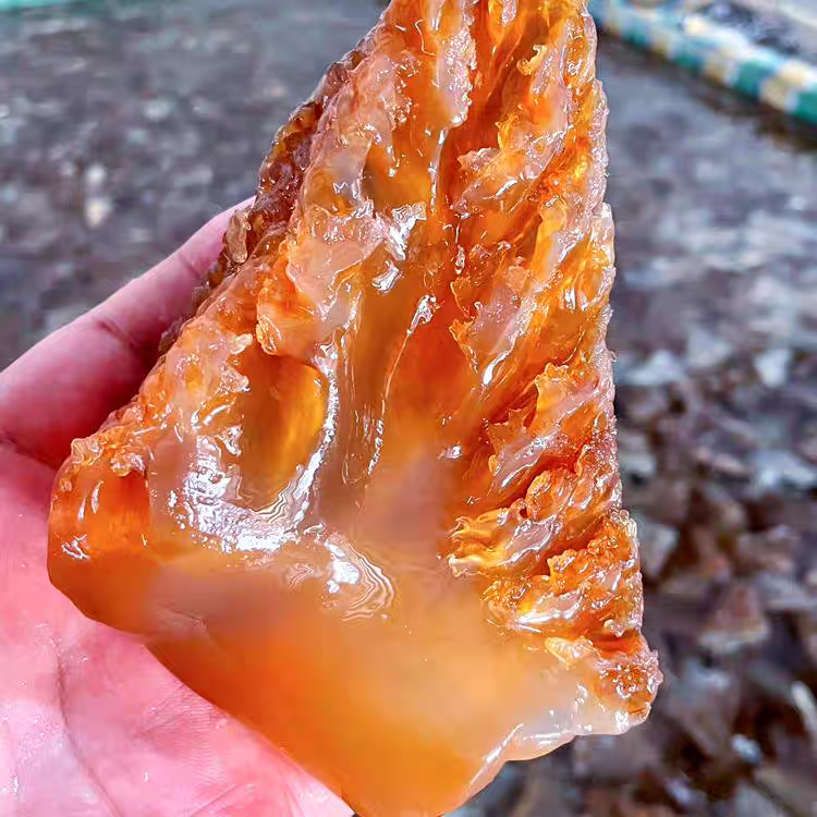 25年吕四海蜇头大号角片海蜇凉拌菜特大角片5斤装4斤装