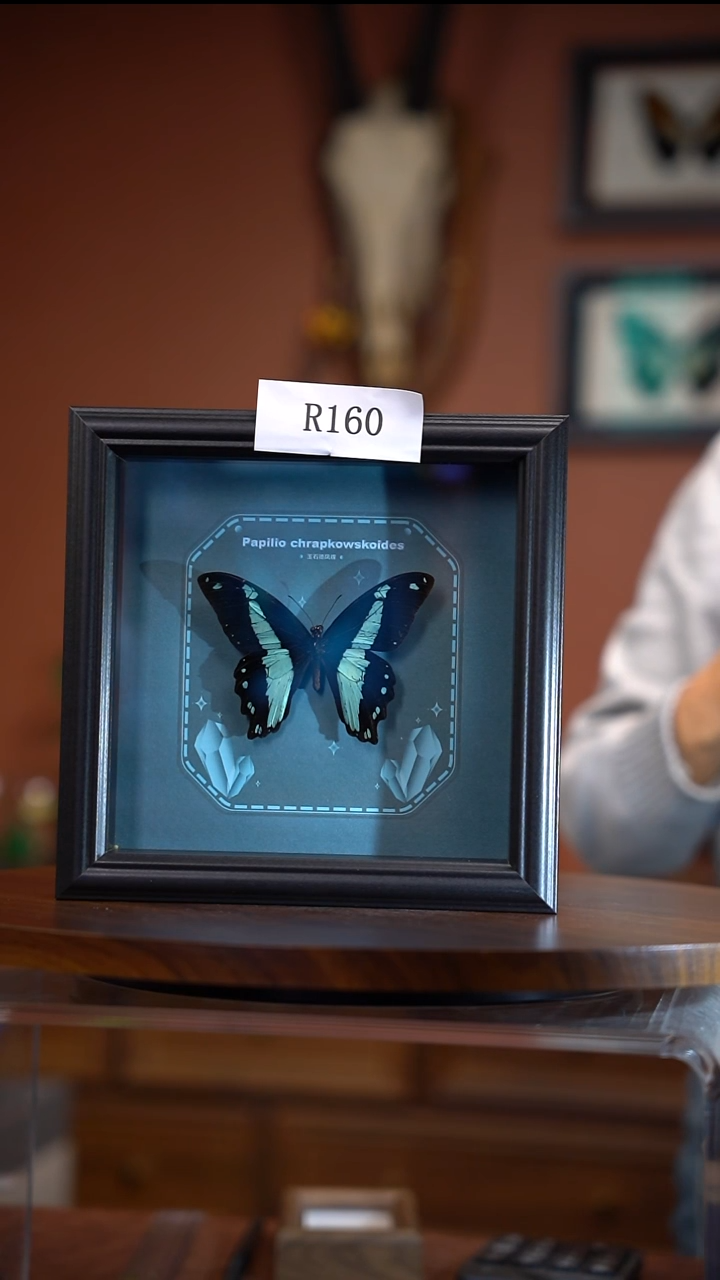 R160   玉石德凤蝶   一图一物  拍下不退不换