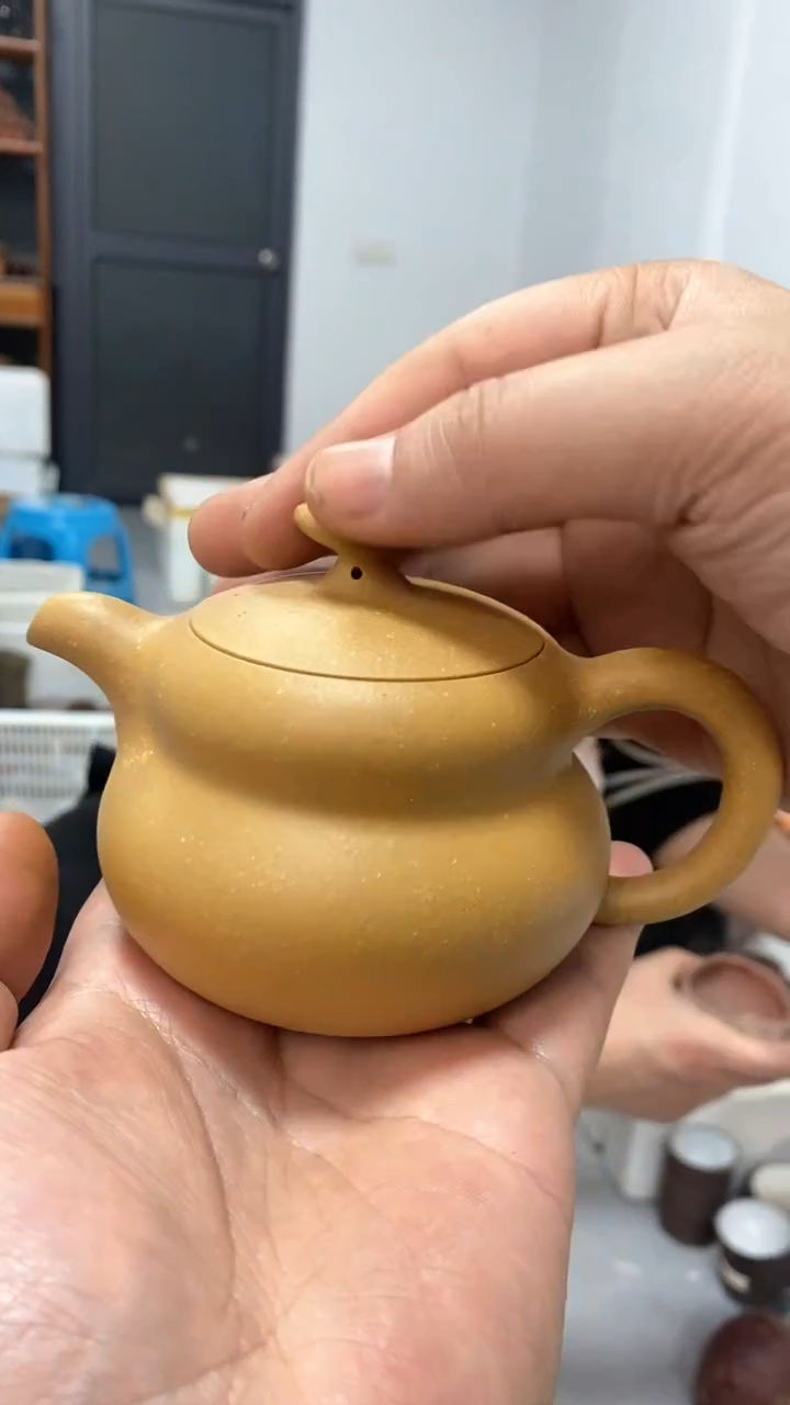 【闪购商品】紫砂茶壶宜兴原矿紫砂壶