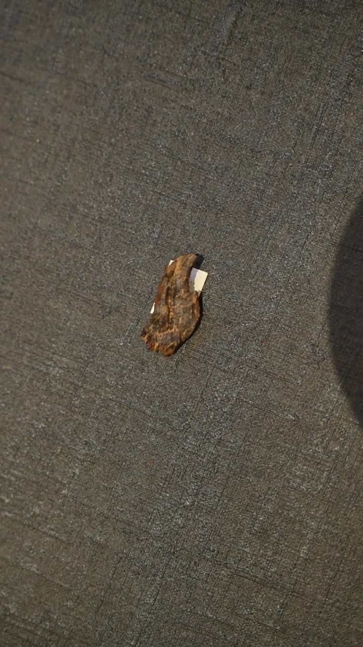 沉香吊坠老海南沉水0.7g