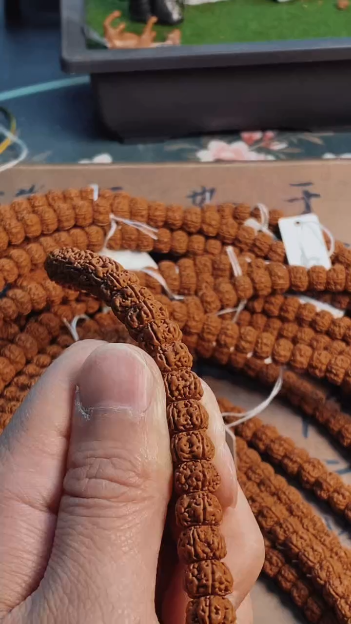 金刚菩提吊坠681红皮纯血麦穗龙尺寸8-13