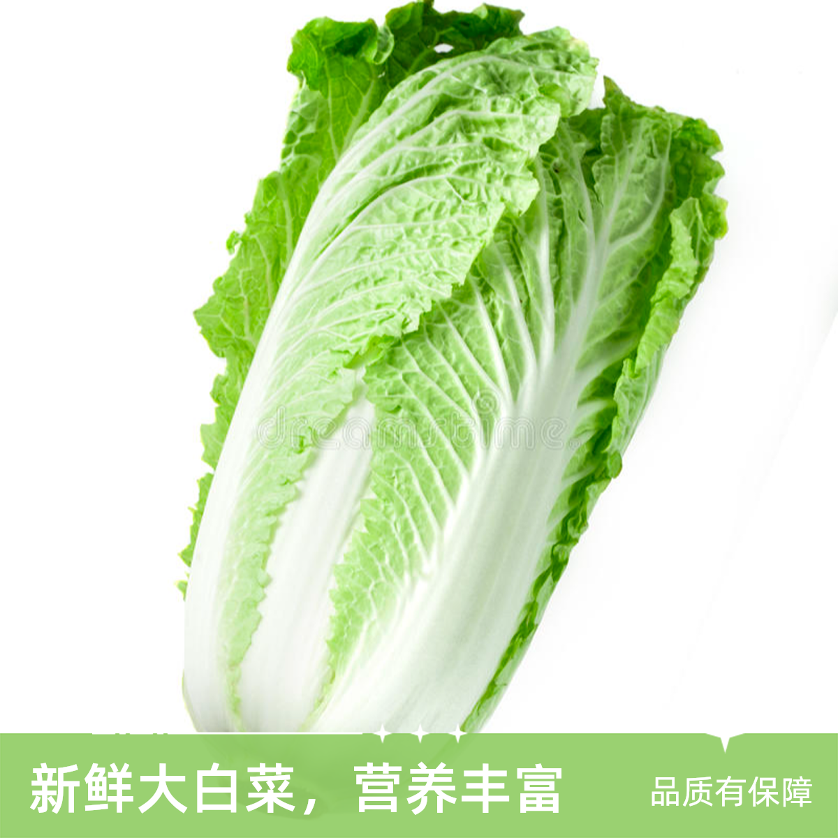 新鲜优质大白菜约1000g