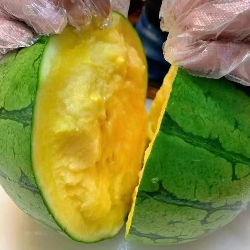 特小凤西瓜一个约3斤左右