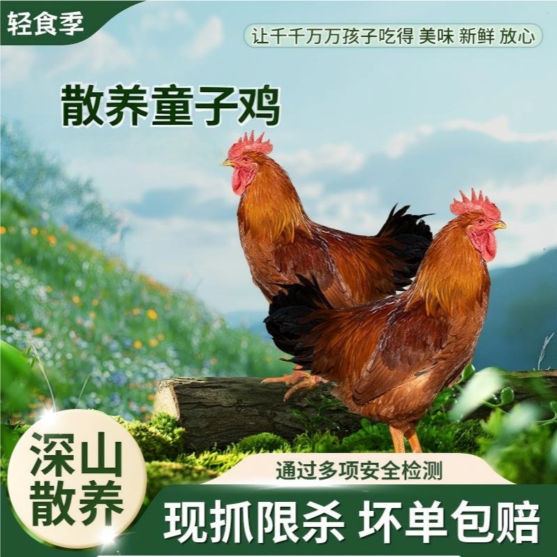 正宗皖南土鸡仔公鸡（童子鸡）纯粮山林散养 现抓现杀