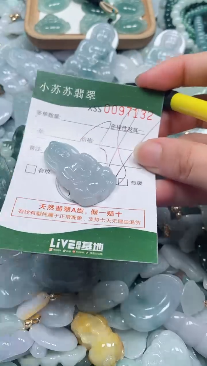 【闪购商品】翡翠颈饰未镶嵌闪购商品0097132