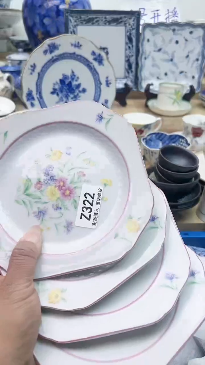 【闪购商品】瓷片322