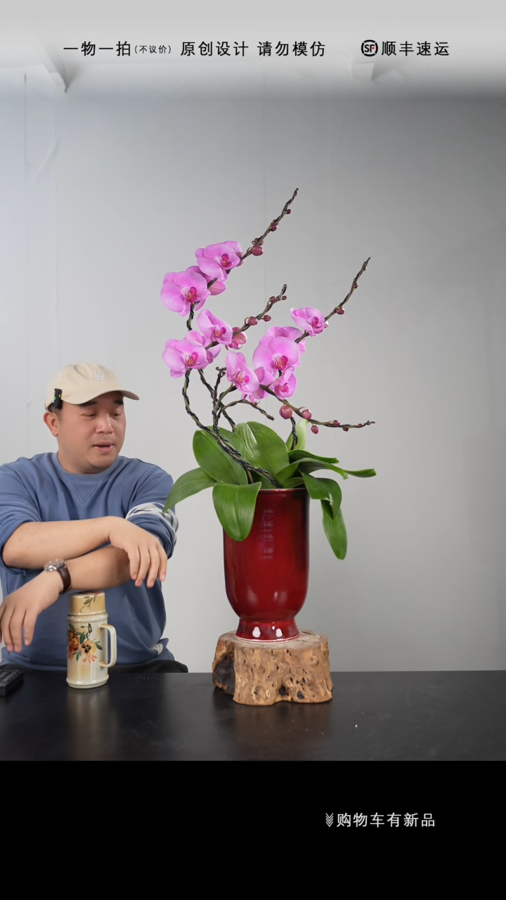 【闪购商品】036号链接【一物一拍】艺术盆景