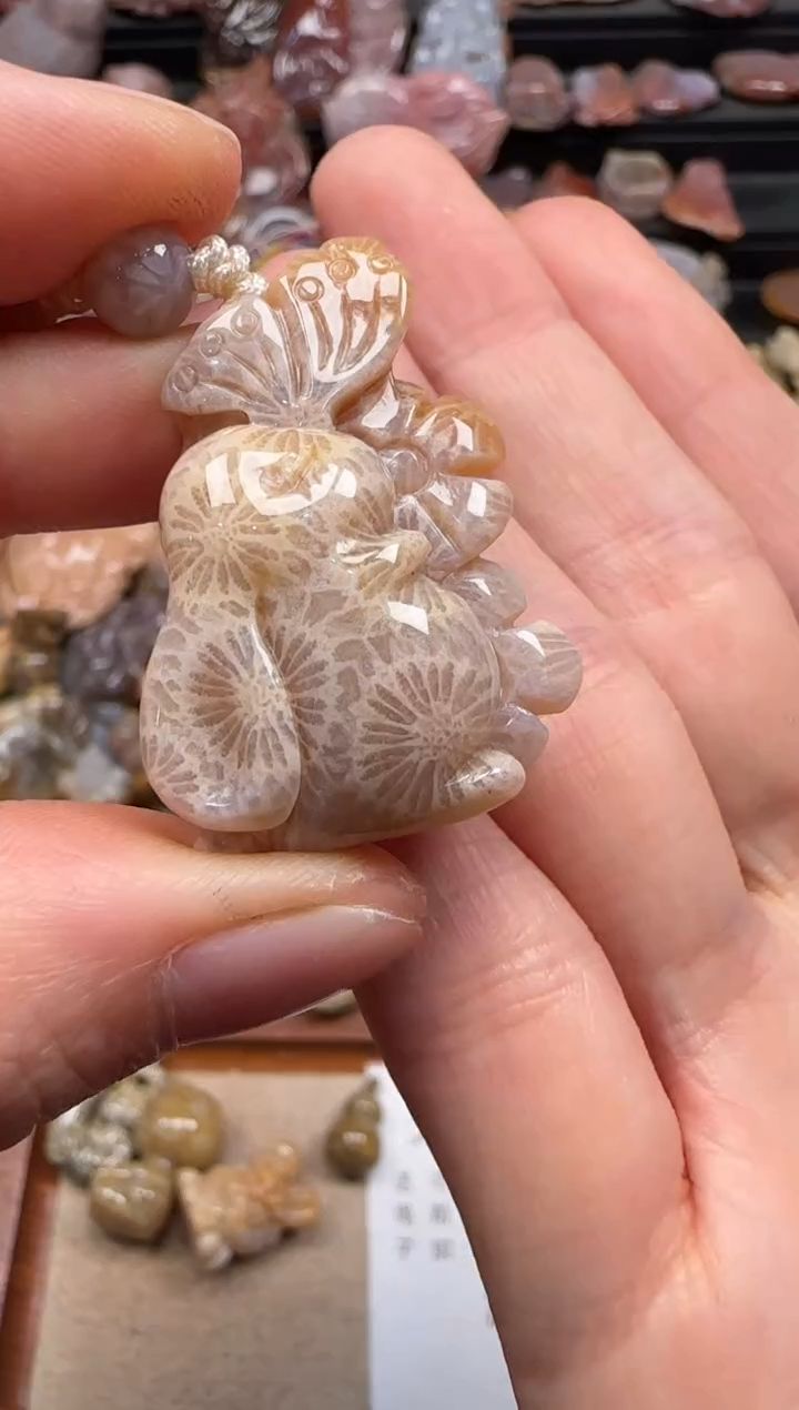 【闪购商品】硅化珊瑚（珊瑚玉）颈饰未镶嵌684