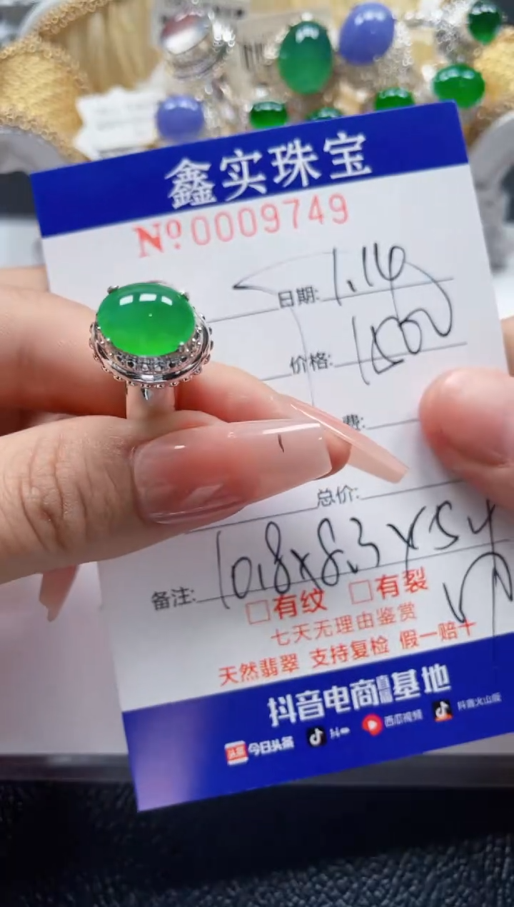 【闪购商品】翡翠颈饰未镶嵌/97490000