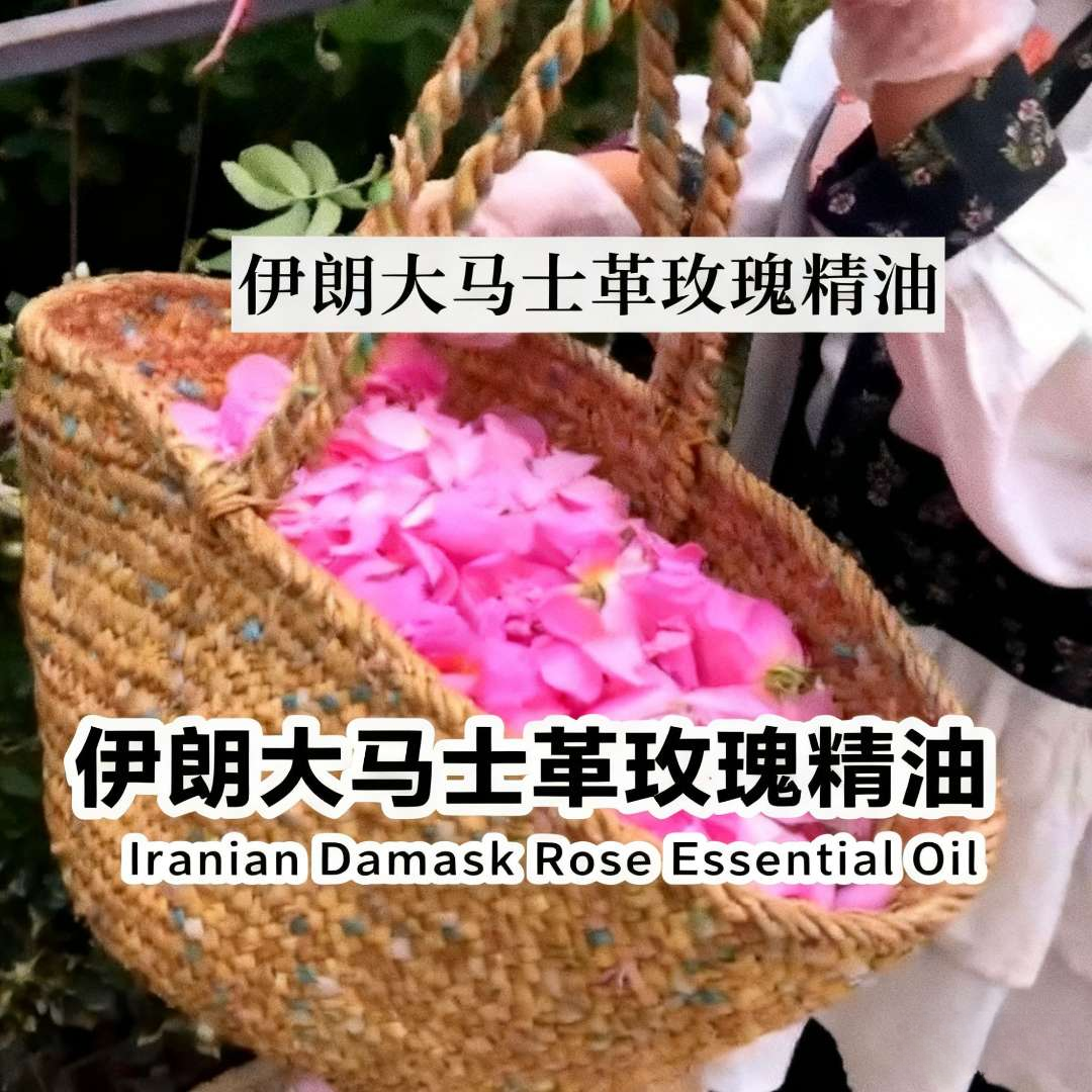 伊朗大马士革玫瑰单方精油   