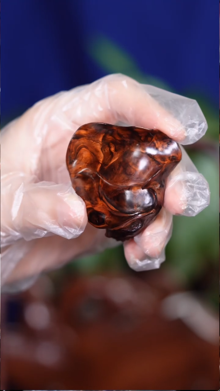 手串/手链黄花梨/降香黄檀海螺