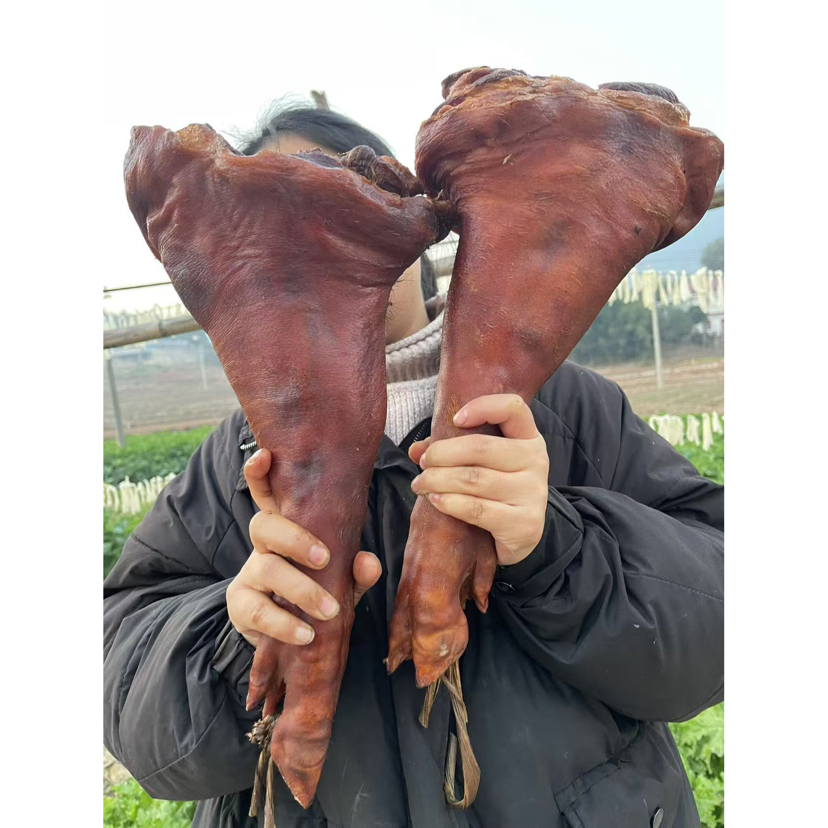 【腊猪脚】湘西腊肉正宗柴火烟熏农家土猪腊肉