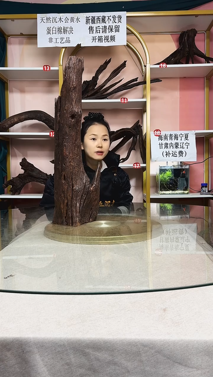 夜*鱼缸造景沉木A980