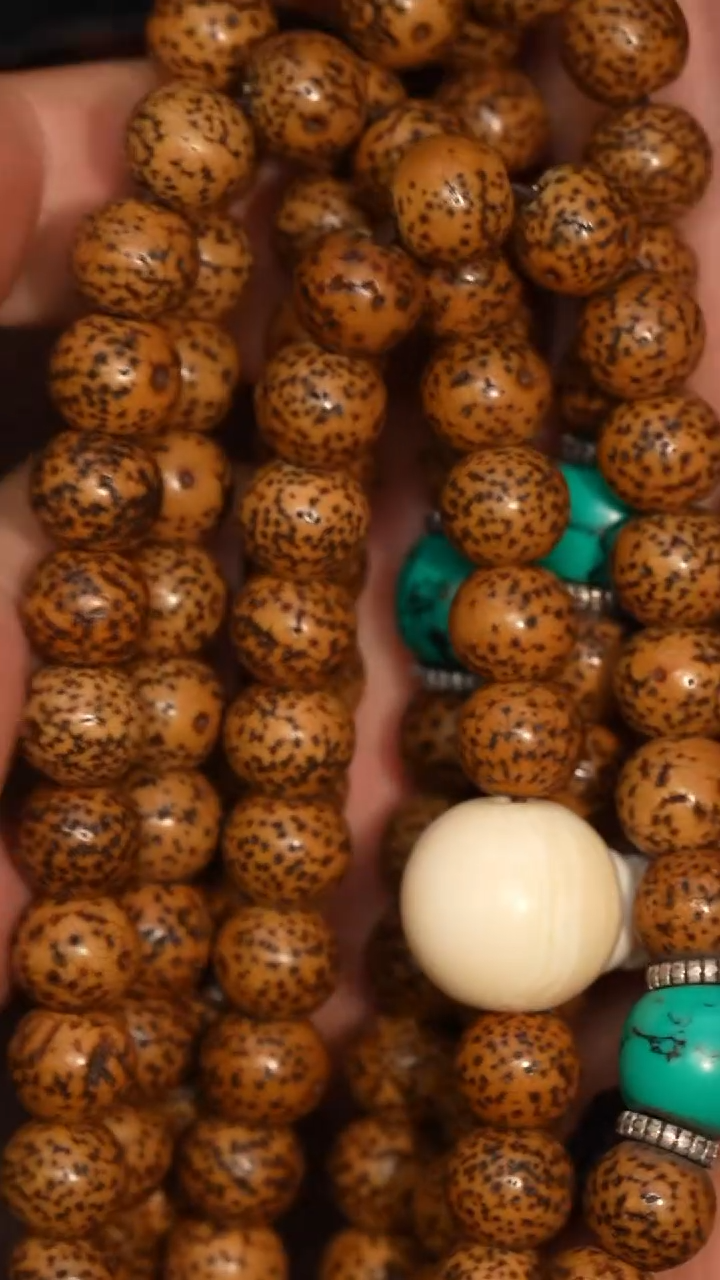 冲赛康胡子哥，藏传念珠75