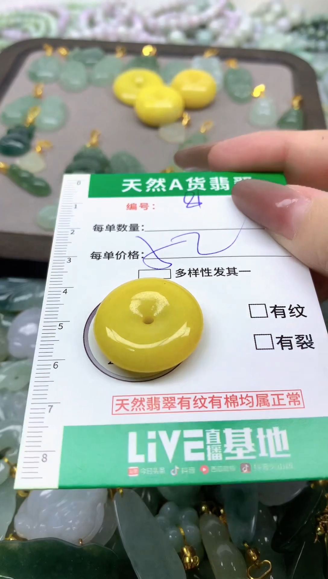 颈饰未镶嵌翡翠纯天然缅甸A货翡翠-81