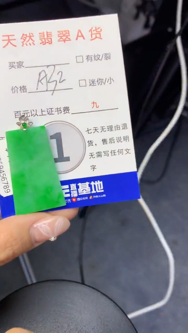 颈饰18K金镶嵌翡翠天然缅甸a货翡翠百元以上9元证书费自理