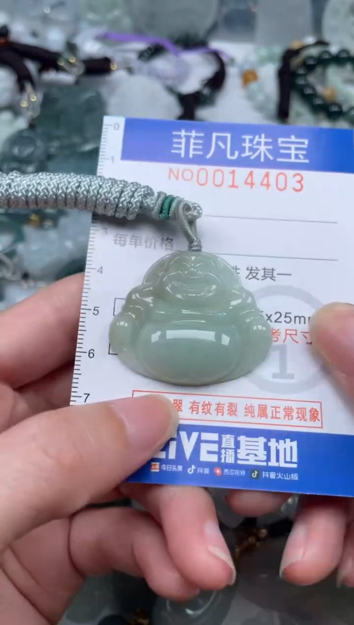 颈饰未镶嵌翡翠14403