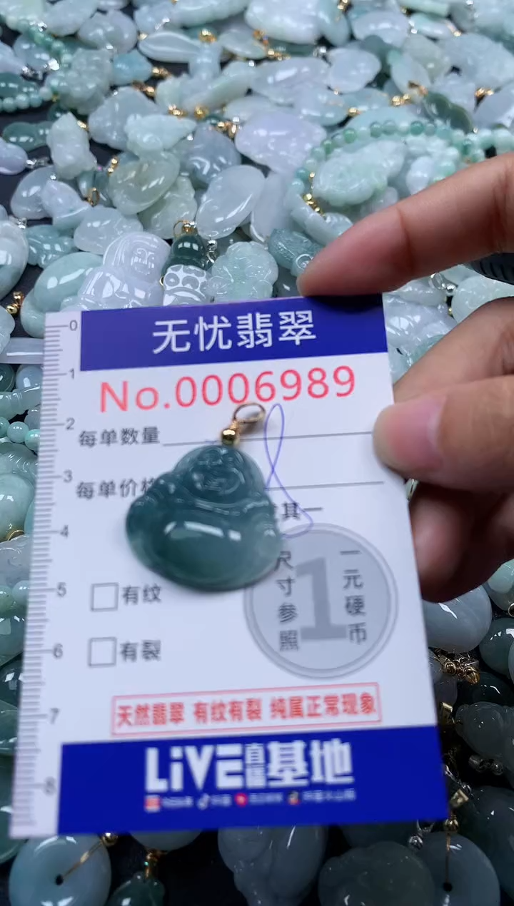 颈饰未镶嵌翡翠6989