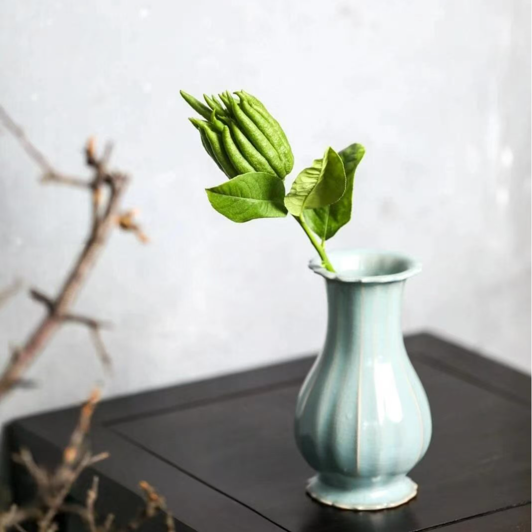 四川佛手柑干摆室内绿植 佛手小梅