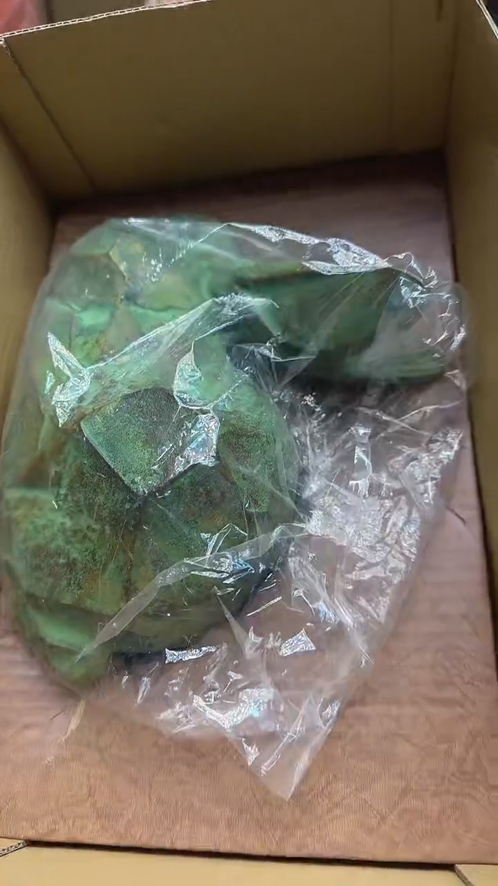 壶*2527墨樱社专属定闪链接铁