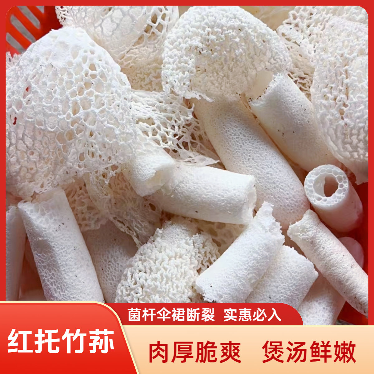 【菌杆伞裙断裂】贵州新鲜红托竹荪 现采现发 肉厚脆爽 煲汤鲜美红托竹荪
