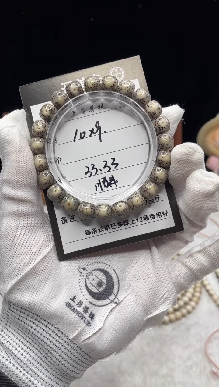 手串星月菩提U1 10X9 T0511 E05