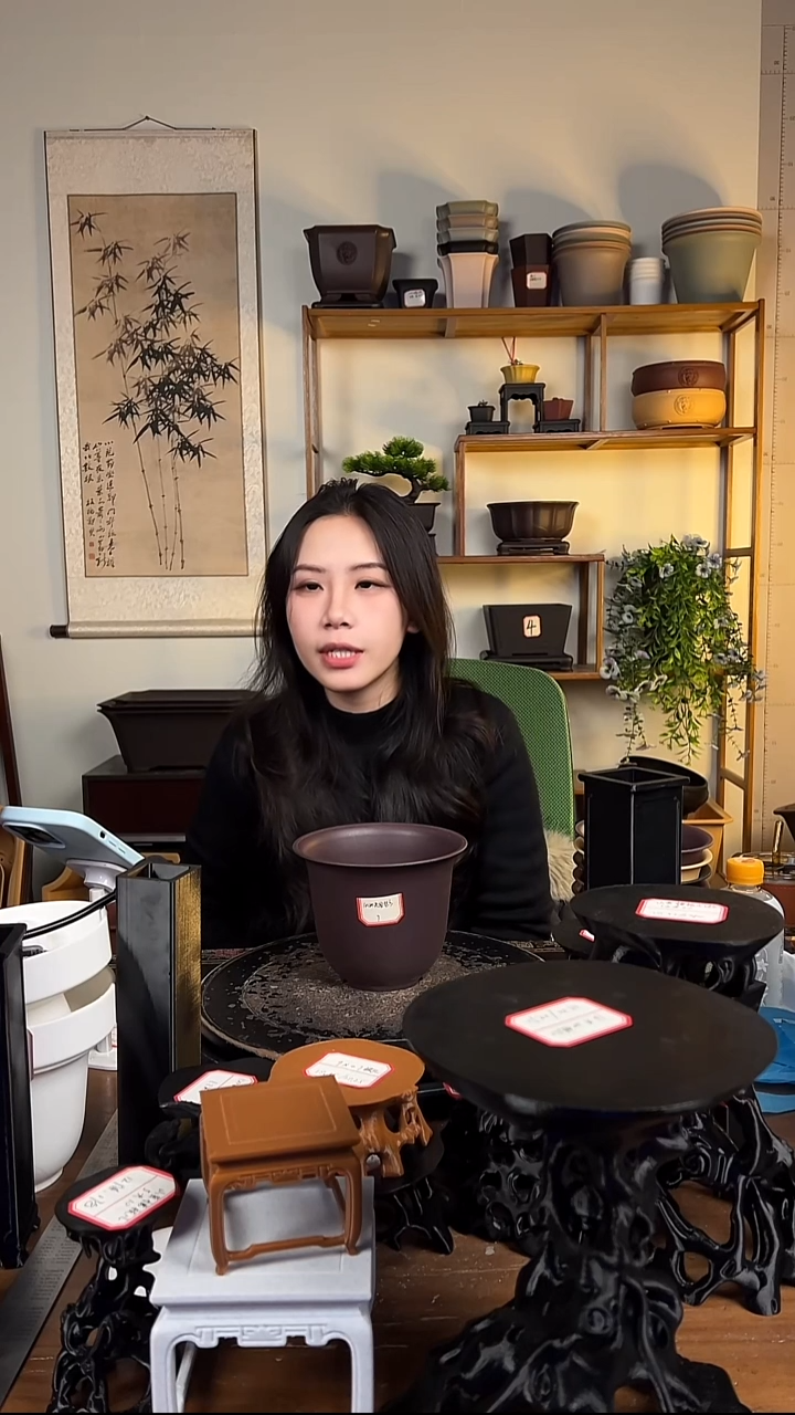 10只15口径金钟紫檀色