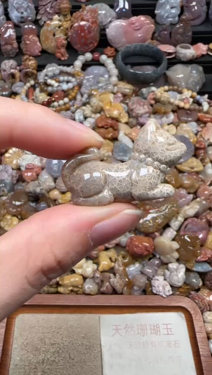 颈饰未镶嵌硅化珊瑚（珊瑚玉）675