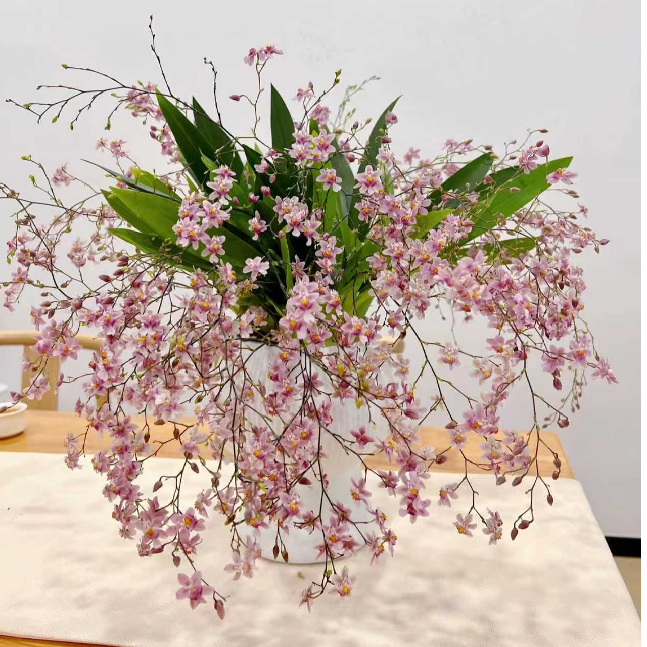 梦香兰光粉色【10枝花箭】香水文心兰盆栽兰花客厅阳台好养护