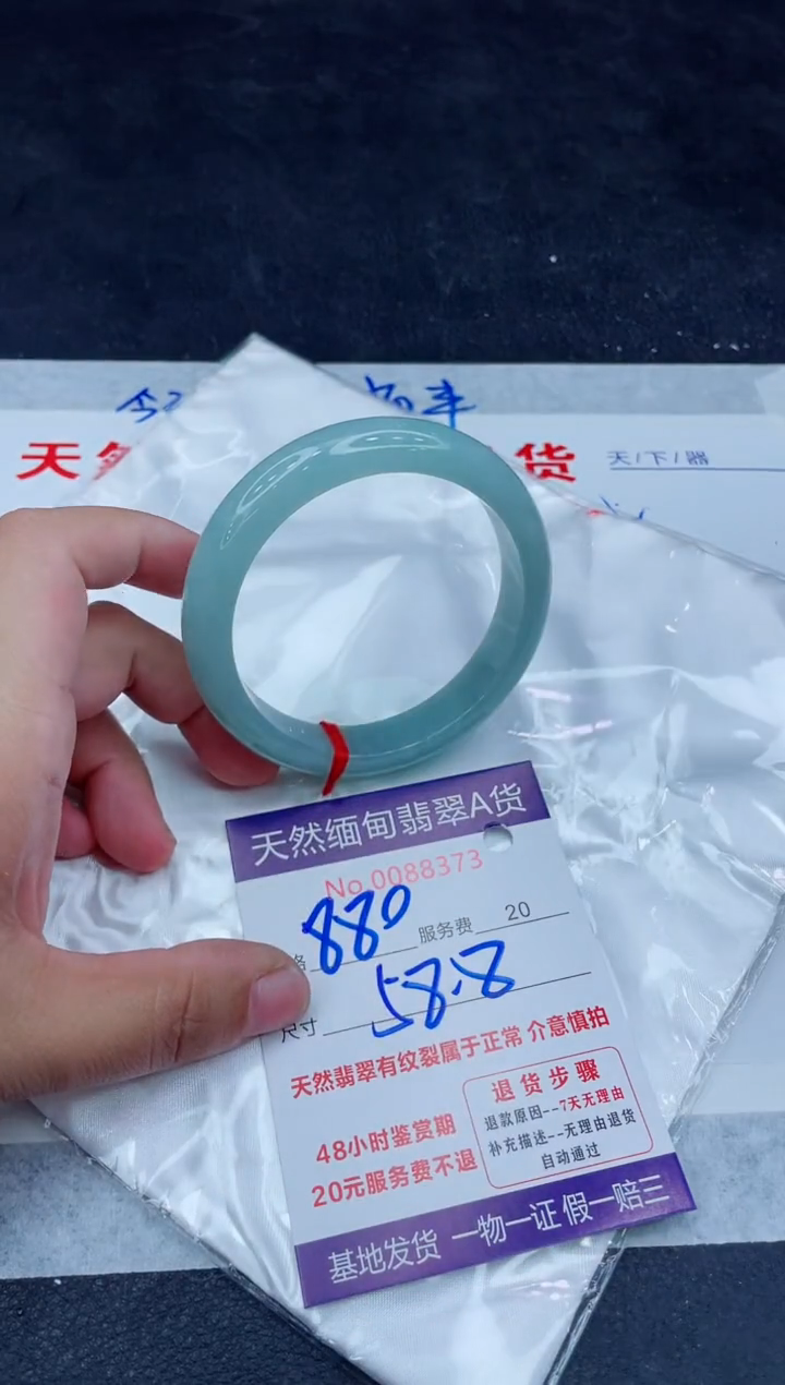 未镶嵌手镯翡翠880.00000