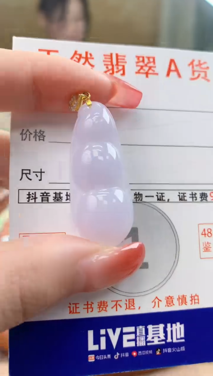 颈饰未镶嵌翡翠天然A货翡翠挂件
