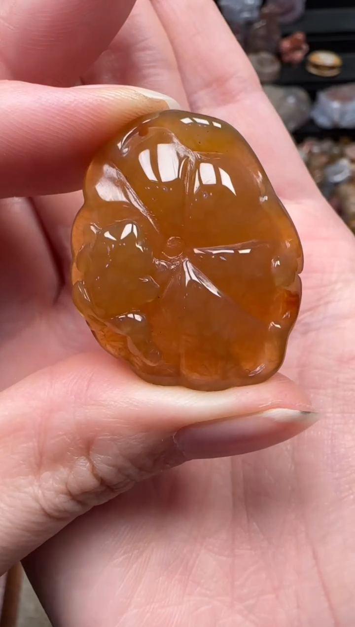 颈饰未镶嵌硅化珊瑚（珊瑚玉）202