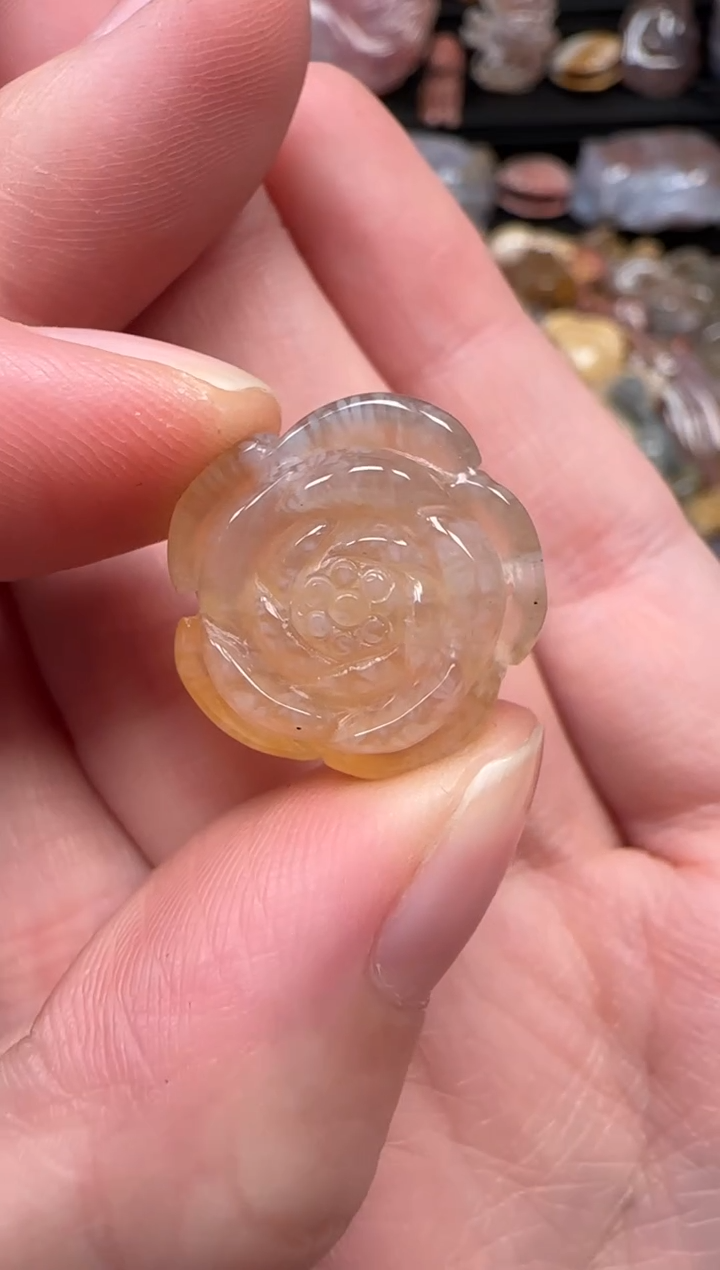 颈饰未镶嵌硅化珊瑚（珊瑚玉）527