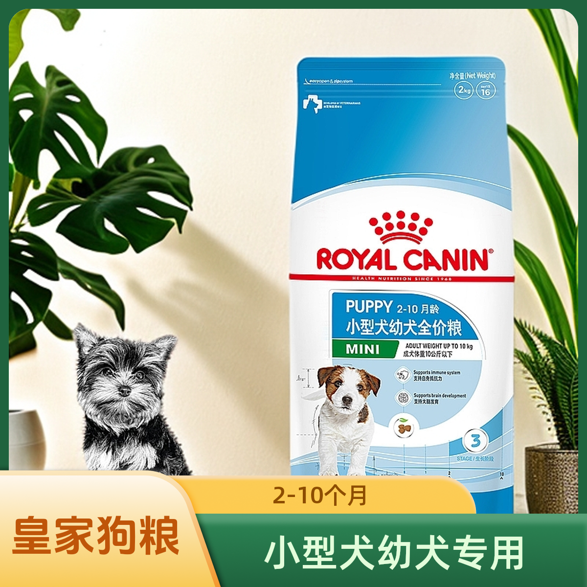 小型犬幼犬粮宠物狗狗健康营养狗粮壮骨适用2-10月龄幼犬专用粮