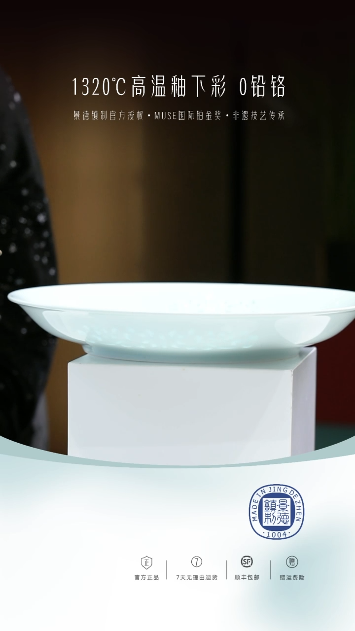 瓷10英寸盘子一个