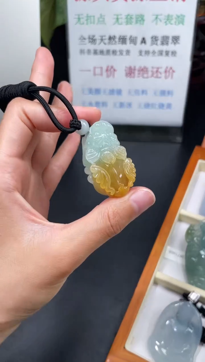 翡翠未镶嵌颈饰貔貅