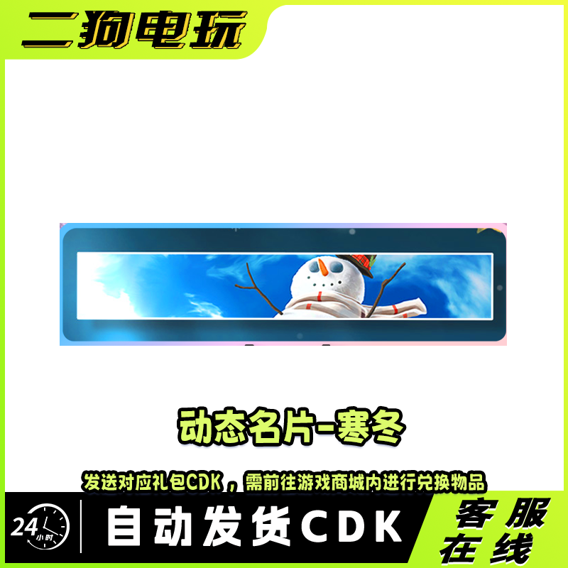 PUBG绝地求生名片动态ID寒冬雪人Steam吃鸡皮肤兑换码CDK端游秒发