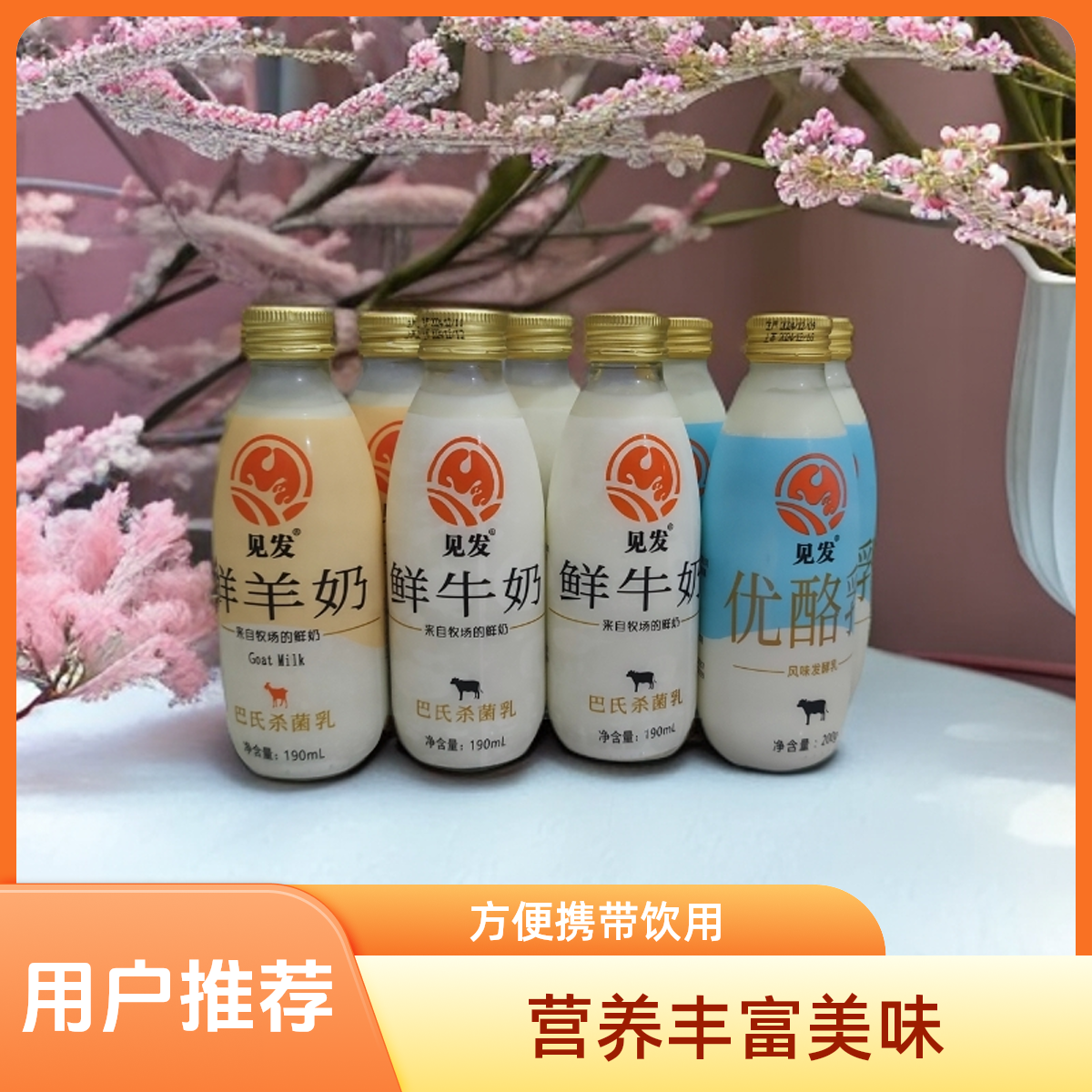 见发 鲜奶3牛奶3优酪乳2羊奶乳制品多种类超好喝