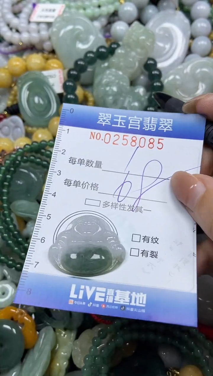 颈饰未镶嵌翡翠闪购C0258085