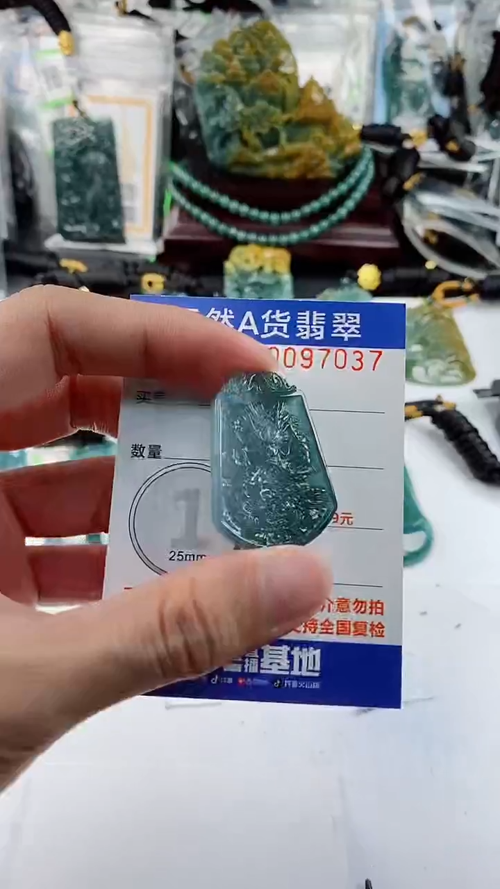 【闪购商品】翡翠颈饰未镶嵌           