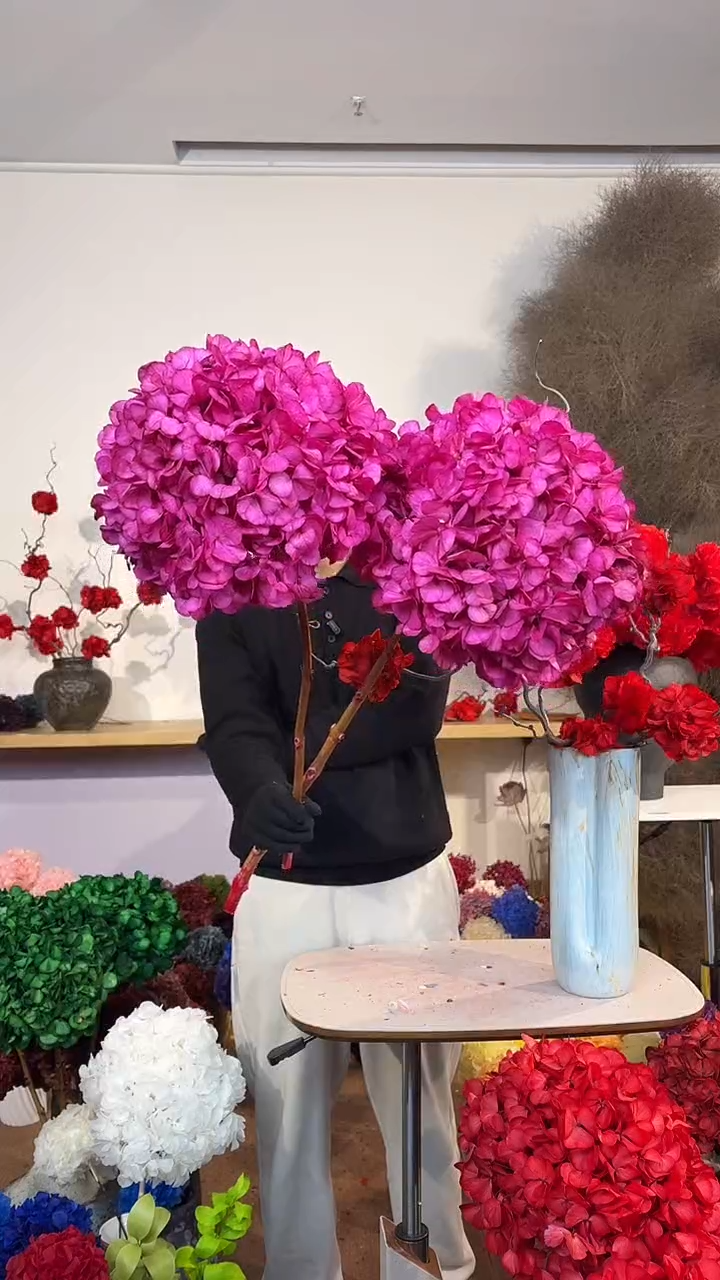 吸色永生大叶绣球 2枝  玫红