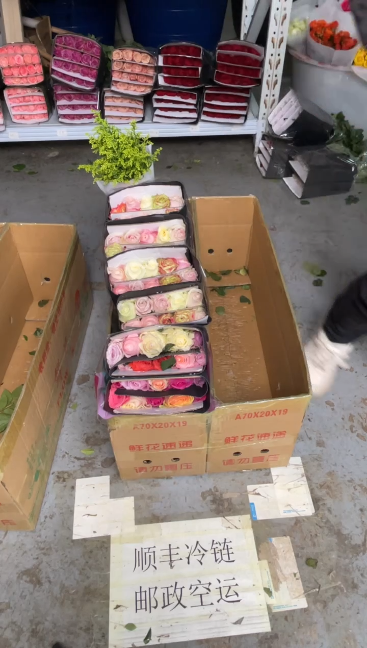 混色玫瑰60枝+黄莺